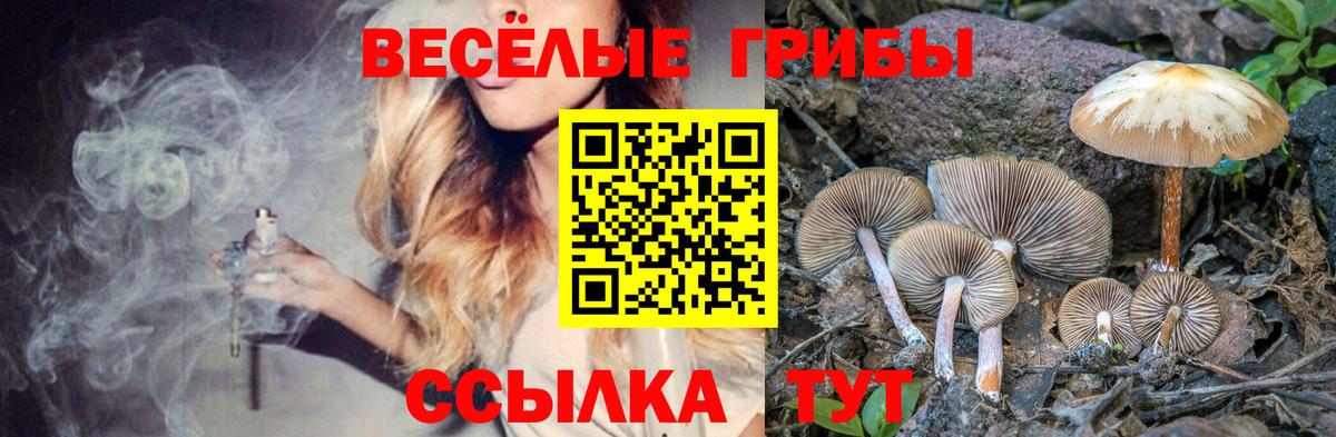 Псилоцибиновые грибы Psilocybine cubensis  Галлюциногенные грибы MAGIC MUSHROOMS  Вход с VPN  Чапаевск 